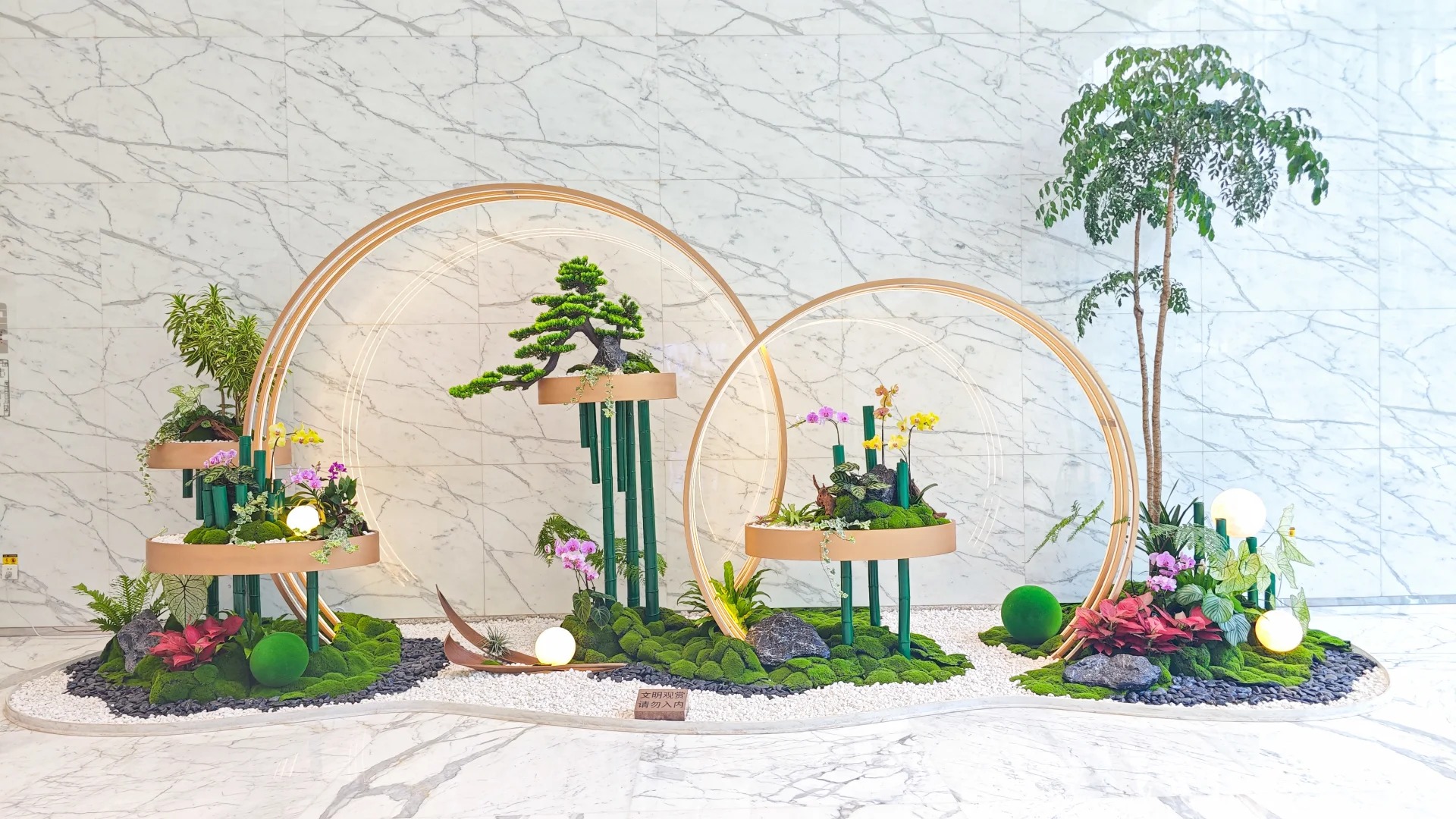 专业花卉出租,让宁波海曙更添生机与色彩